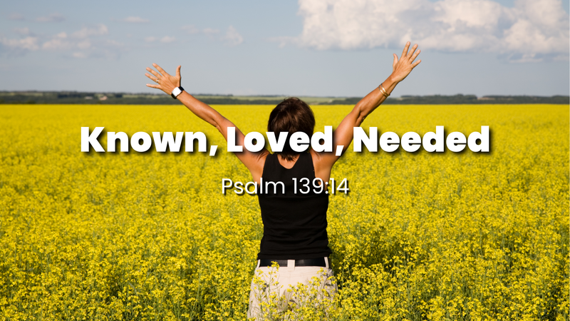 Known, Loved, Needed