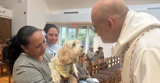 Blessing of the Animals on Oct 4 image