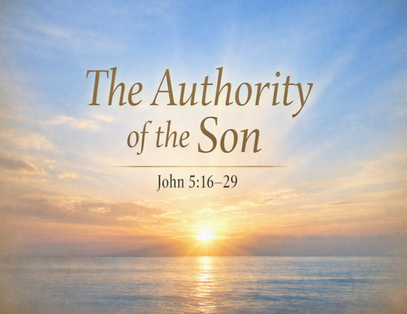 The Authority of the Son