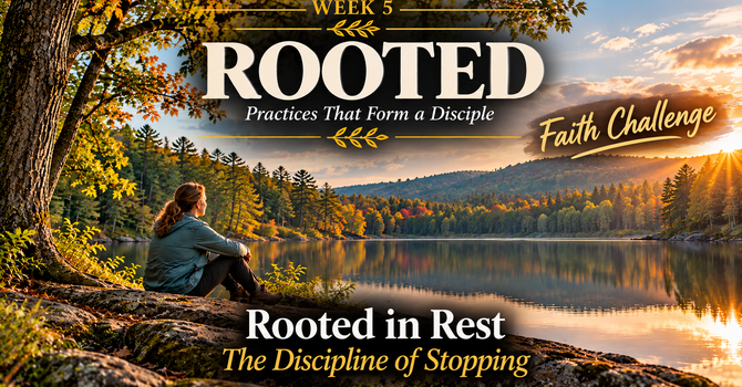 Rooted Week 5 image