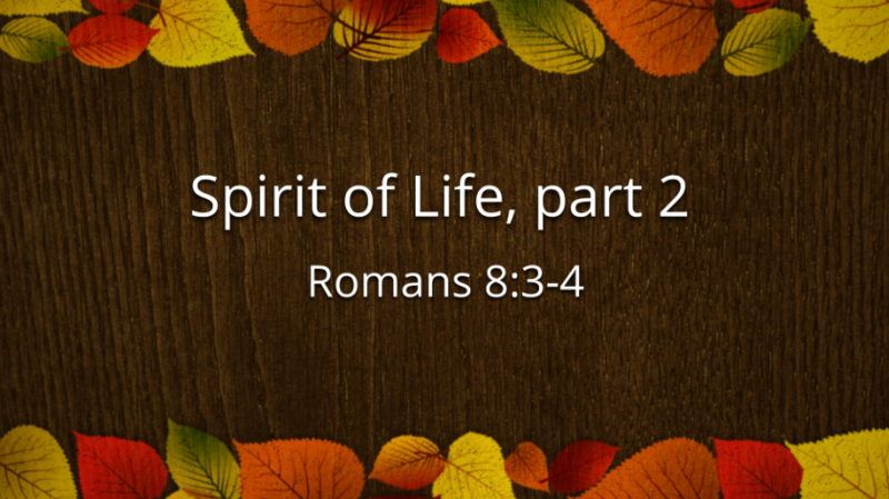 Spirit of Life. part 2