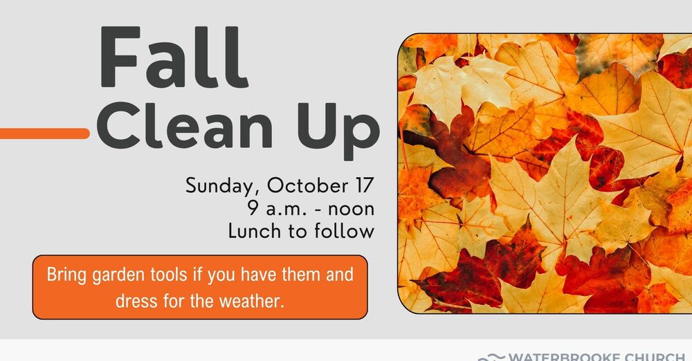 Fall Clean Up