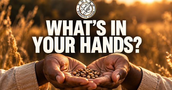 Are You Burying What God Gave You? | What’s in Your Hands