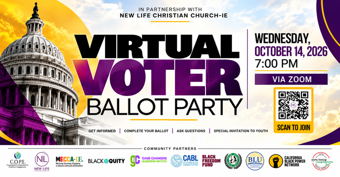 Vitrual Voter Ballot Party image
