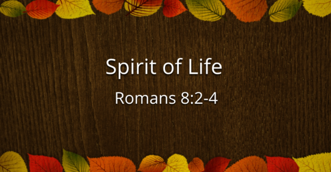 Spirit of Life. part 1