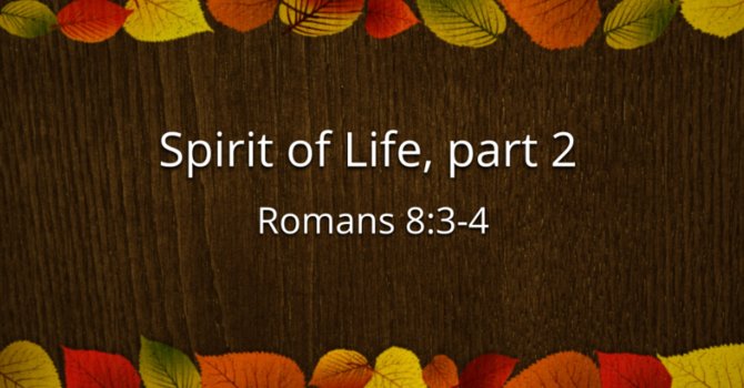 Spirit of Life. part 2