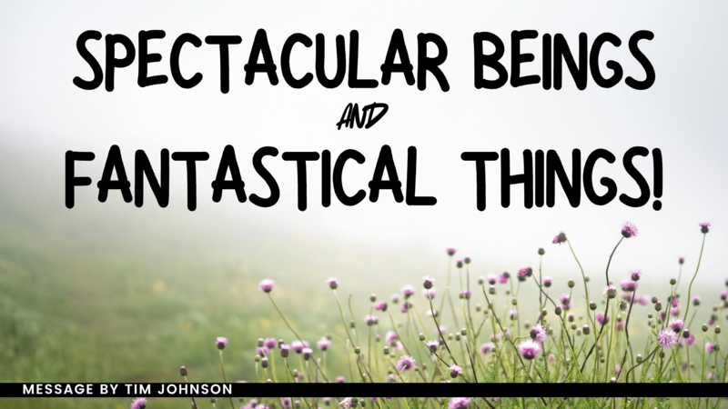 Spectacular Beings and Fantastical Things!