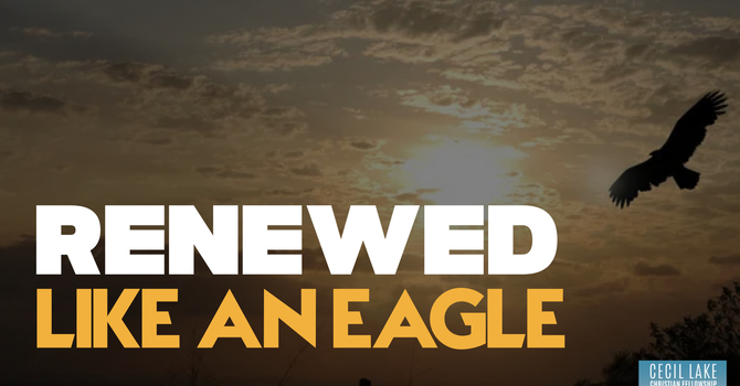 Renewed Like an Eagle image