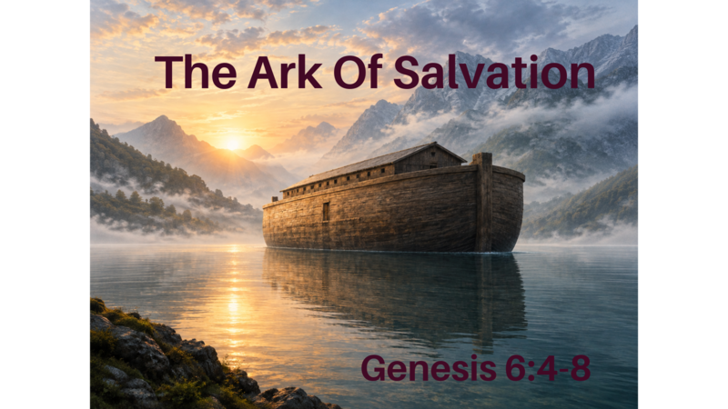 The Ark of Salvation