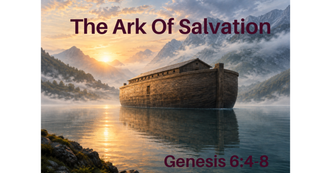 The Ark of Salvation