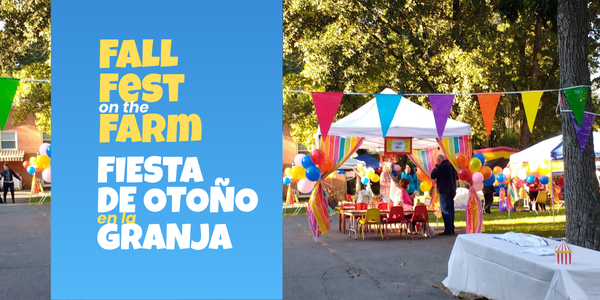 The Fall Fest is finally here! 