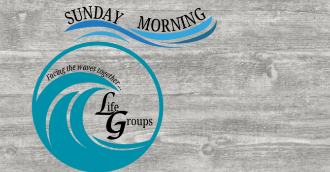 Life Groups