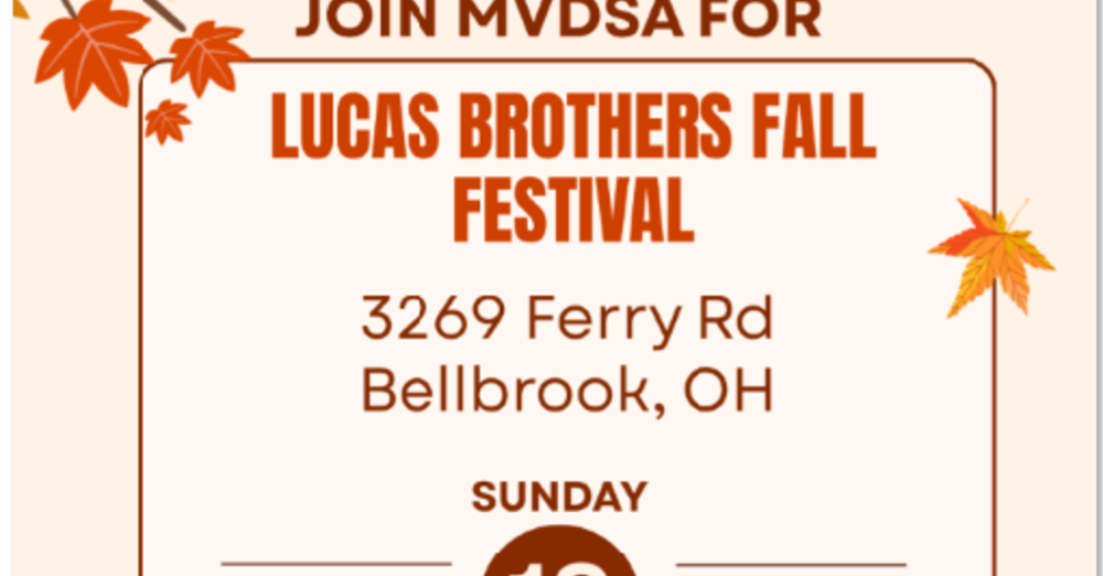 Lucas Brothers Fall Festival Play Date