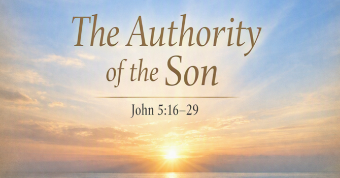 The Authority of the Son