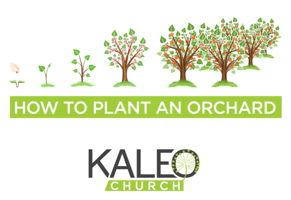 How to Plant an Orchard
