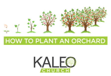 How to Plant an Orchard