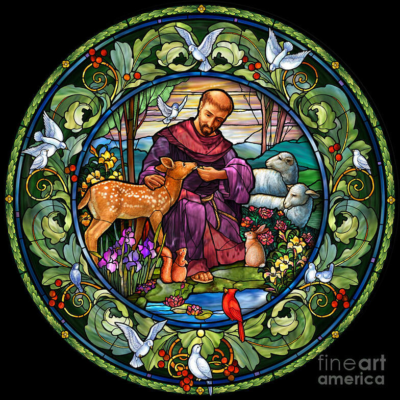 Slideshow image