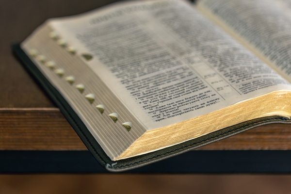 Study in Hebrews