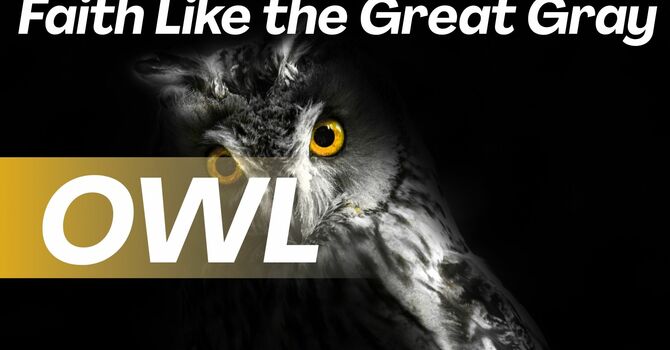 Seeing the World Like a Great Gray Owl