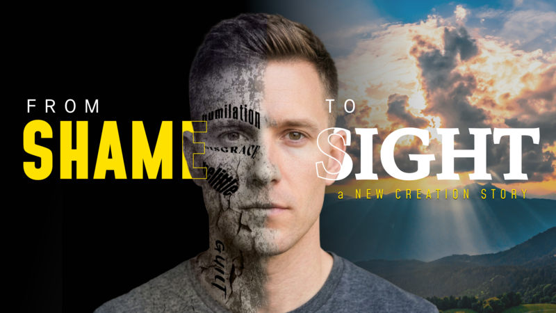 From Shame To Sight