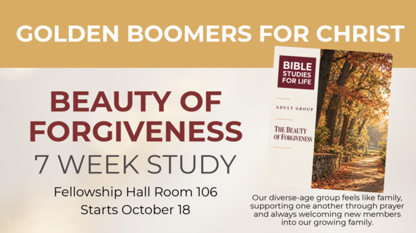 Life Group Studies