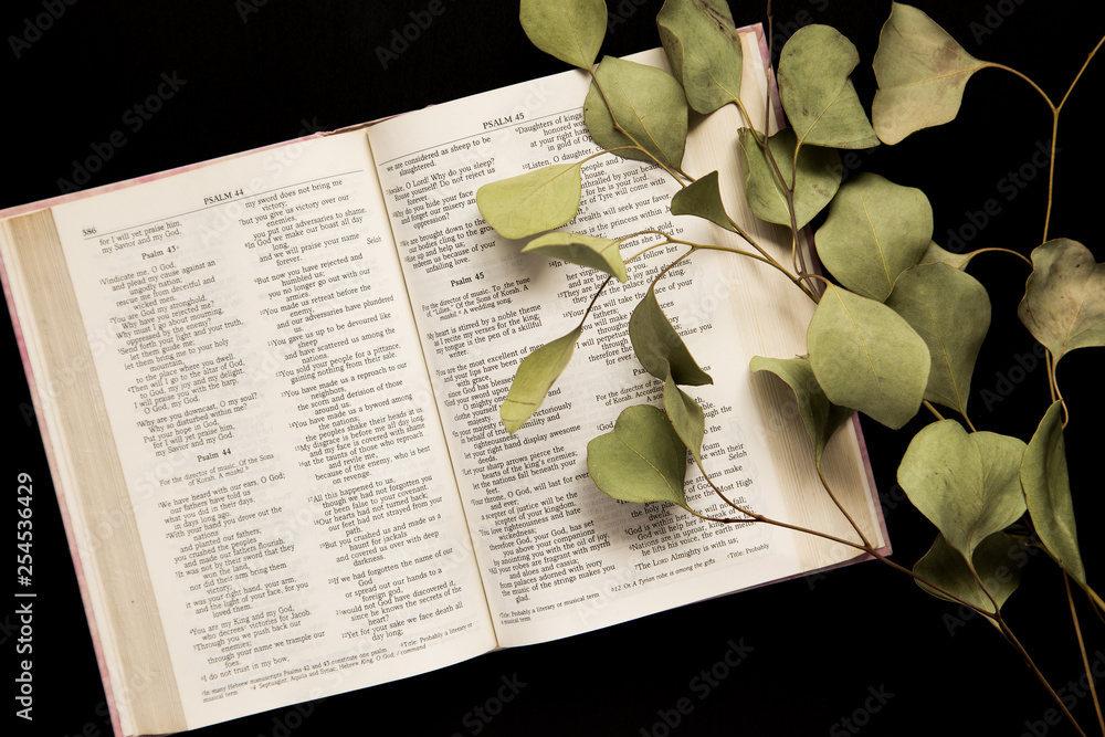 Slideshow image