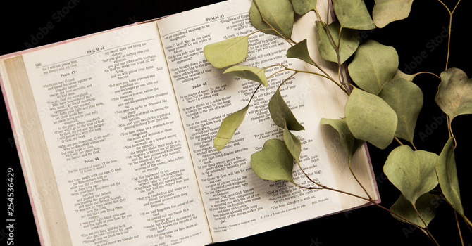 Twenty-first Sunday after Pentecost image