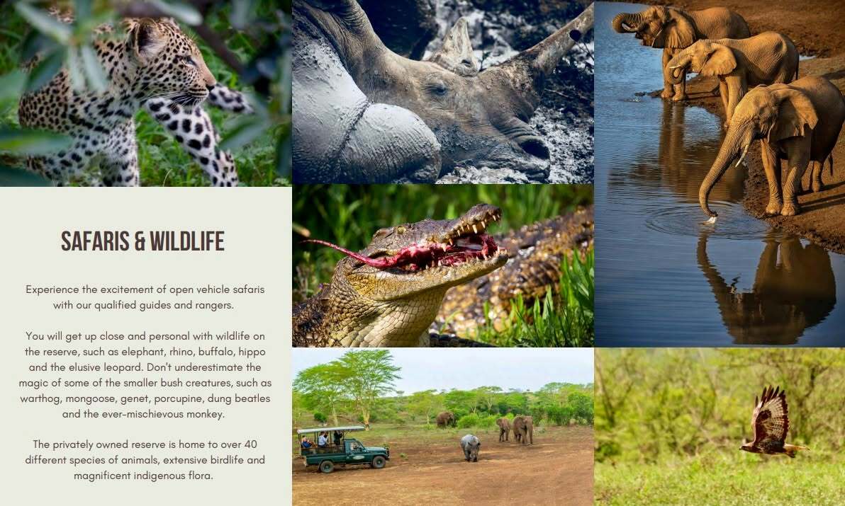 Slideshow image