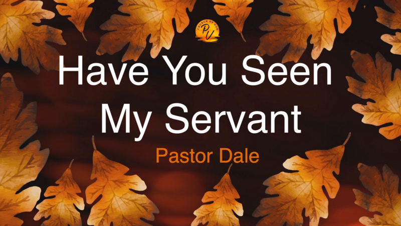 Have You Seen My Servant