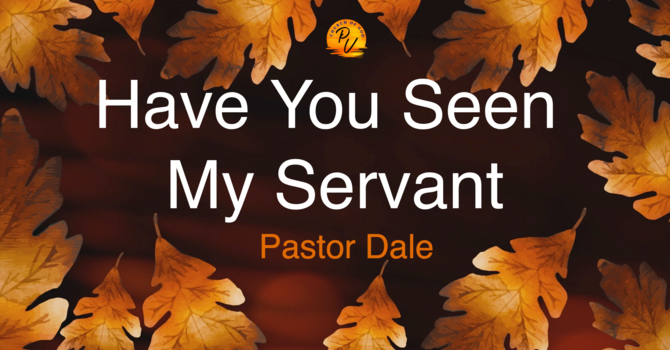 Have You Seen My Servant