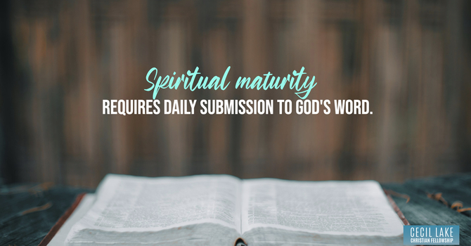 “THE NEED FOR SANCTIFICATION” image