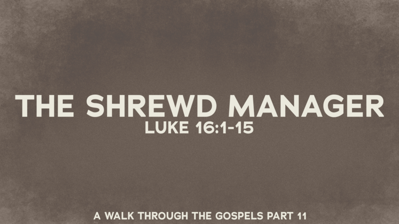 The Shrewd Manager