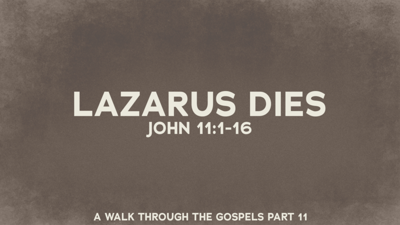Lazarus Dies