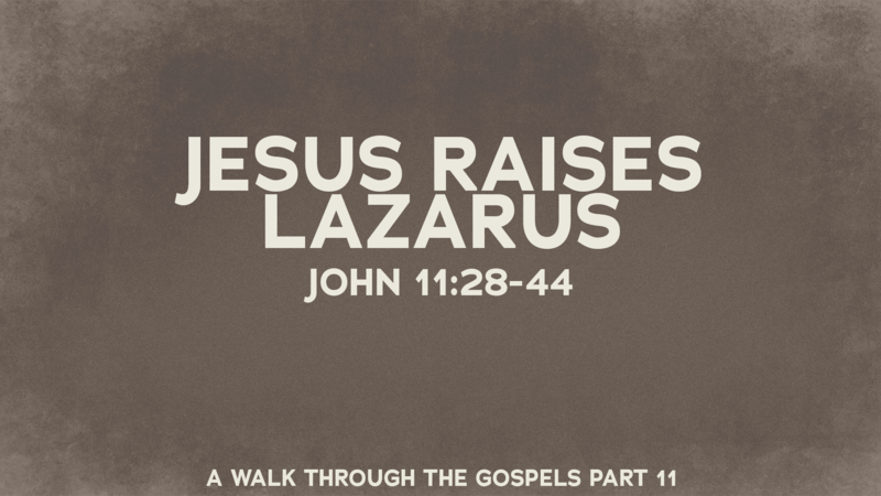 Jesus Raises Lazarus
