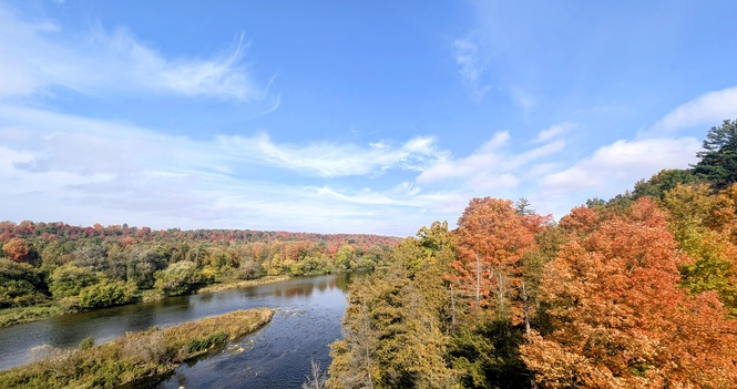 Passing the Peace - October 15, 2026
