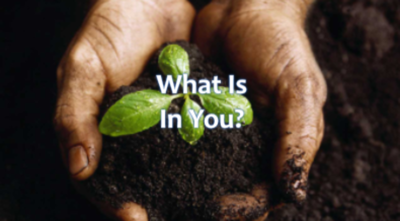 What Is In You