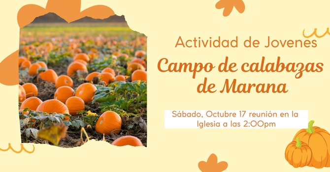 Marana pumpkin patch 