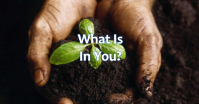 What Is In You