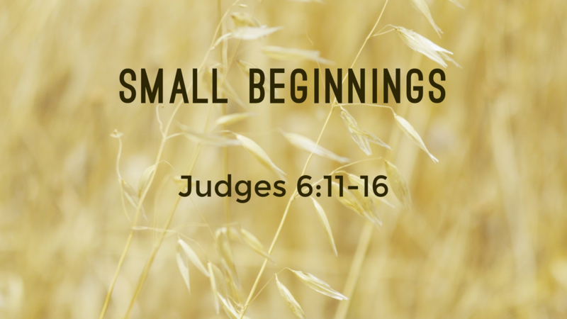 Small Beginnings