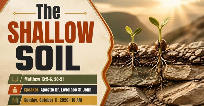The Shallow Soil