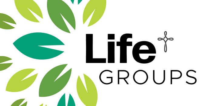 Life Groups