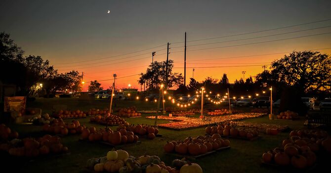 Pumpkin Patch is Here!