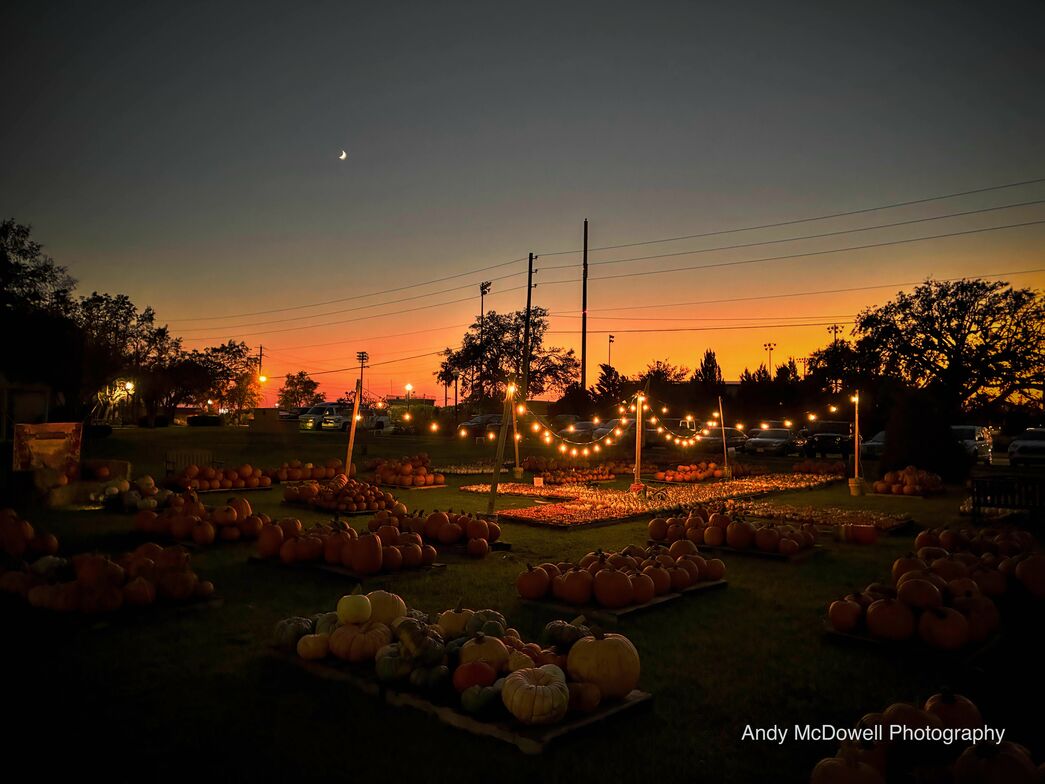 Slideshow image
