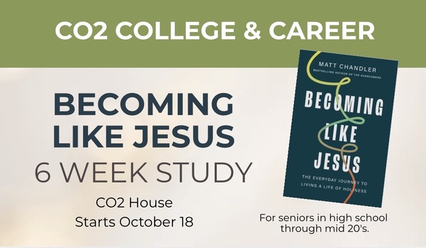 Life Group Studies
