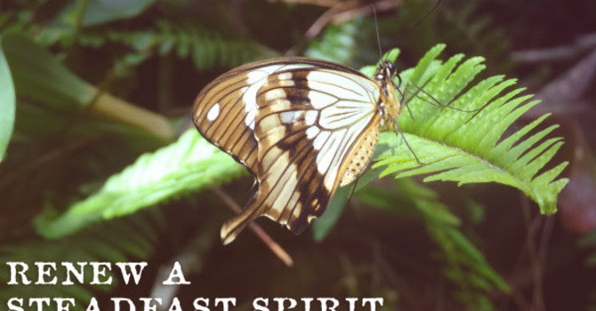 Joey's Devotional image