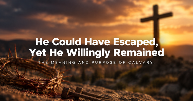 He Could Have Escaped,Yet He Willingly Remained image