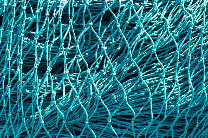 The Parable of the Net