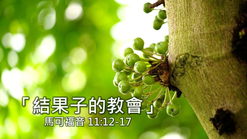 結果子的教會