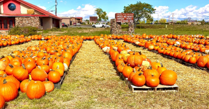 Valley View UMC Pumpkin Patch 2026