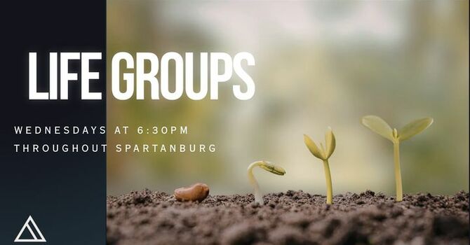 Life Groups